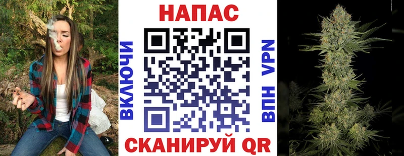 Марихуана гибрид Северская